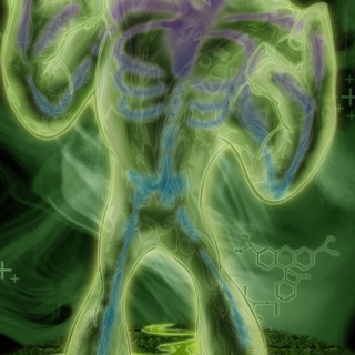 Toxico