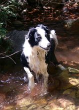 radar-creek