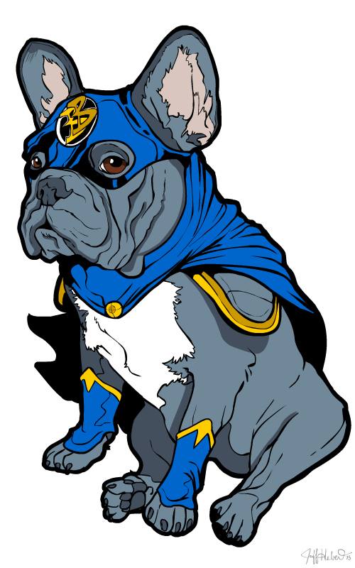 Bulldog in a blue and gold super hero costume and mask