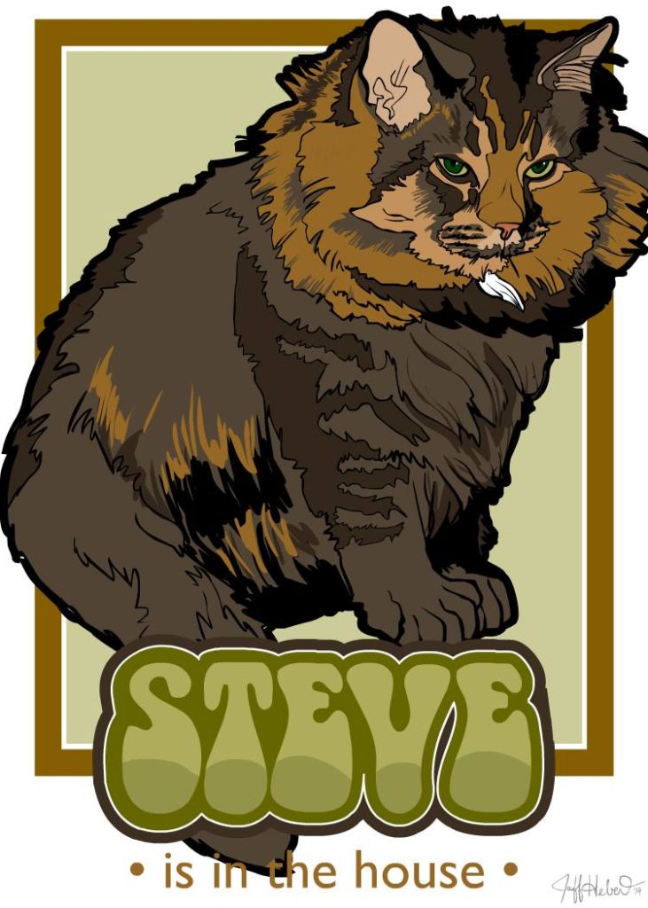 Steve the Maine Coon cat